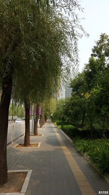 看看風(fēng)景