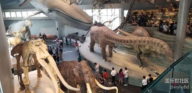 上海星部落-走進(jìn)自然博物館