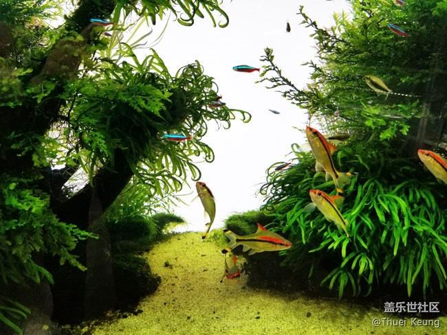 雙鏡頭這樣玩—Note8拍照體驗(yàn)