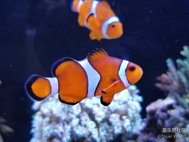 雙鏡頭這樣玩—Note8拍照體驗(yàn)