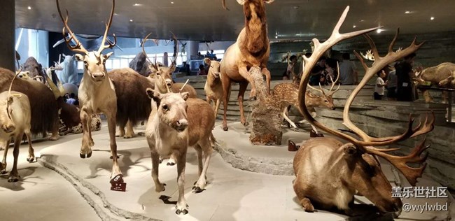 上海星部落-走進(jìn)自然博物館