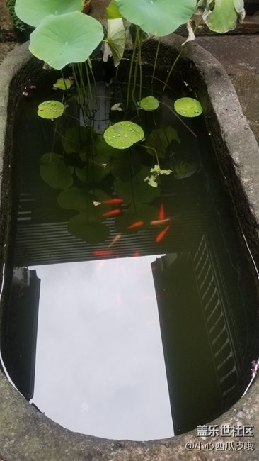 三星note8星匯社杭州品鑒會(huì)