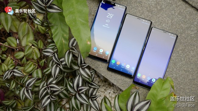 讓大事盡在掌握！三星蓋樂世 Note8國行三色美圖賞