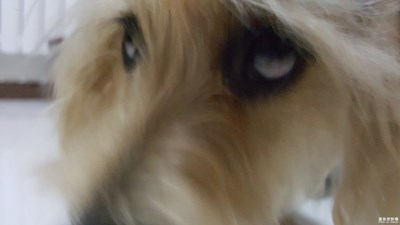 來(lái)，看我的白眼