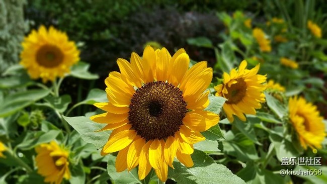 再發(fā)一波照片