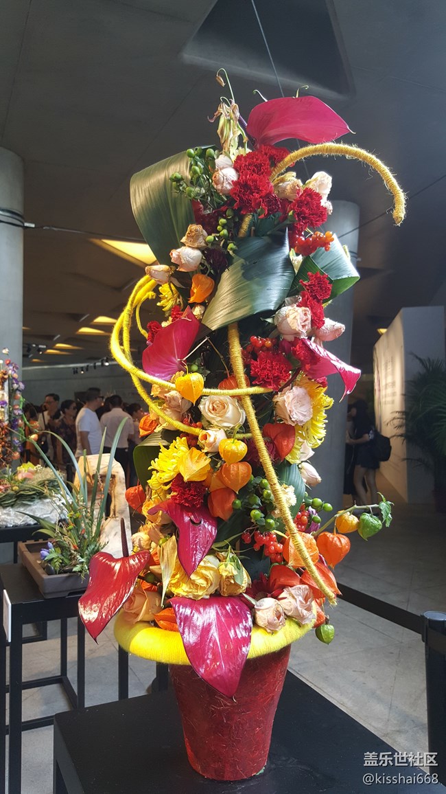 再發(fā)一波照片