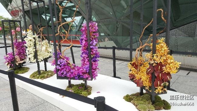 再發(fā)一波照片