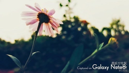 請問note 8拍照怎么能有這樣的水印