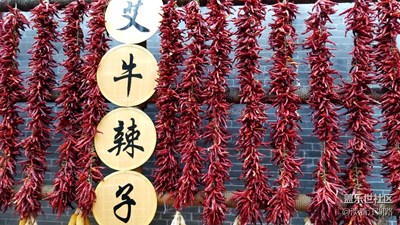 note8隨拍