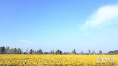 十一假期團(tuán)圓季+歸鄉(xiāng)