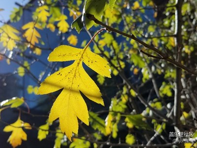 十一假期團(tuán)圓記+跟我來(lái)賞秋