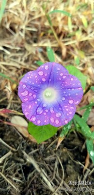 三星S8+   隨手拍