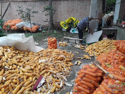 十一假期團(tuán)圓季+零零散散的拍的