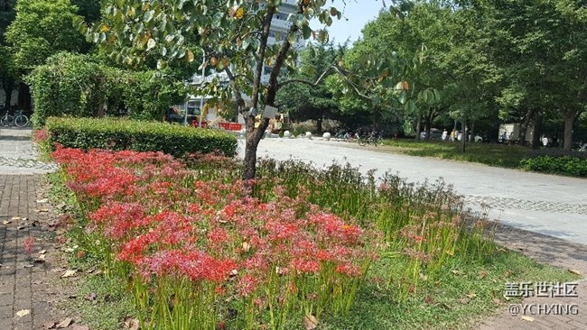 強烈建議官方更新安卓8.0