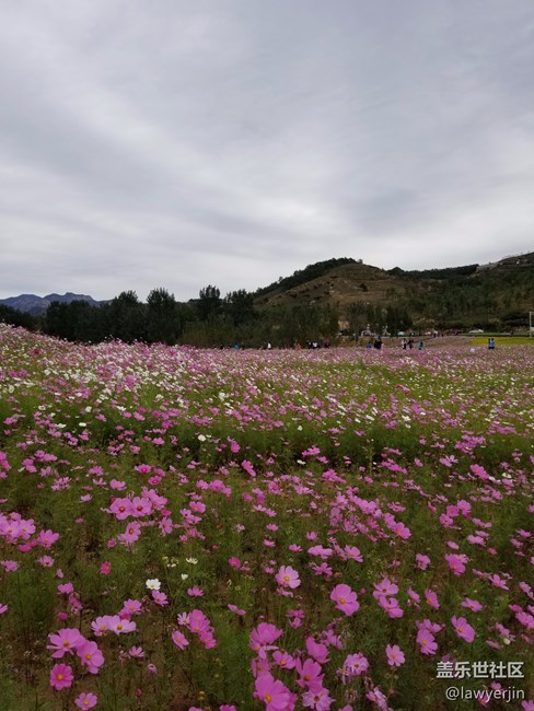 note8拍照真的很不錯(cuò)