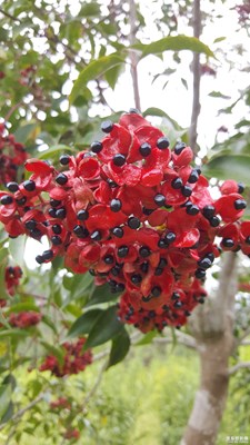 十一假期團(tuán)圓季+中秋隨拍