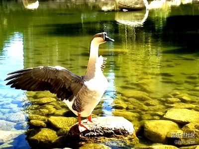 【光影交錯(cuò)的世界】+追光逐影