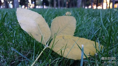 【光影交錯(cuò)的世界】+秋天里的童話