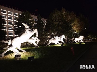 雕塑，馬