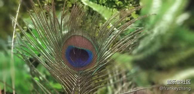 2017年10月14日蓋樂世NOTE8品鑒會