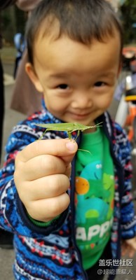 拍，才知道 Note8隨手拍系列
