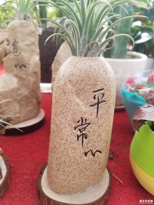 紅運(yùn)當(dāng)頭，花