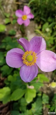 隨便拍。。。