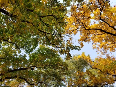 三星Note8和iPhone 8 Plus誰(shuí)拍照拍的好，我就留下誰(shuí)！