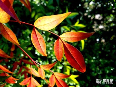s7光影練習(xí)