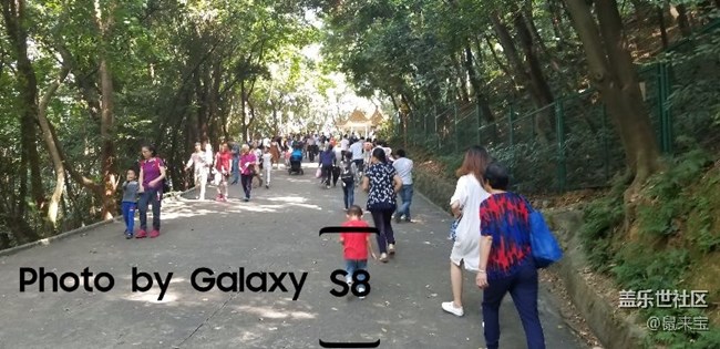 剛才發(fā)現(xiàn)S8曲面?zhèn)绕晾锩嬗兄改厢? title=