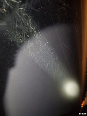 夜晚強光手電下飄舞的灰塵