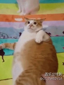 s8港版刷國行的能不能申請bixby內(nèi)測