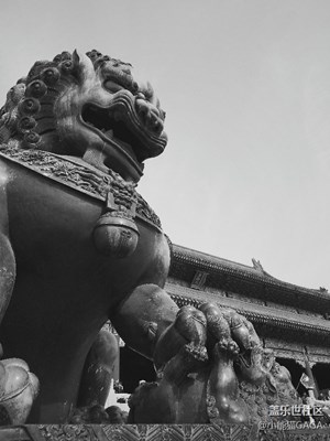 【拍才知道】皇城