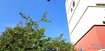今天天氣真好