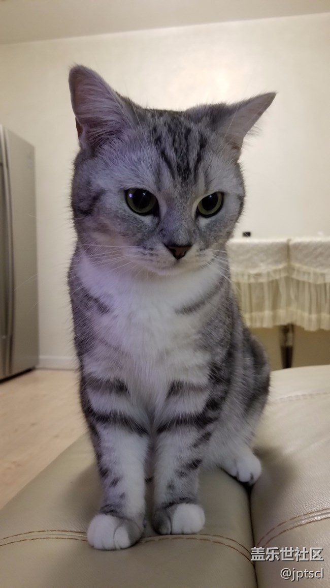 看看note8拍的照片