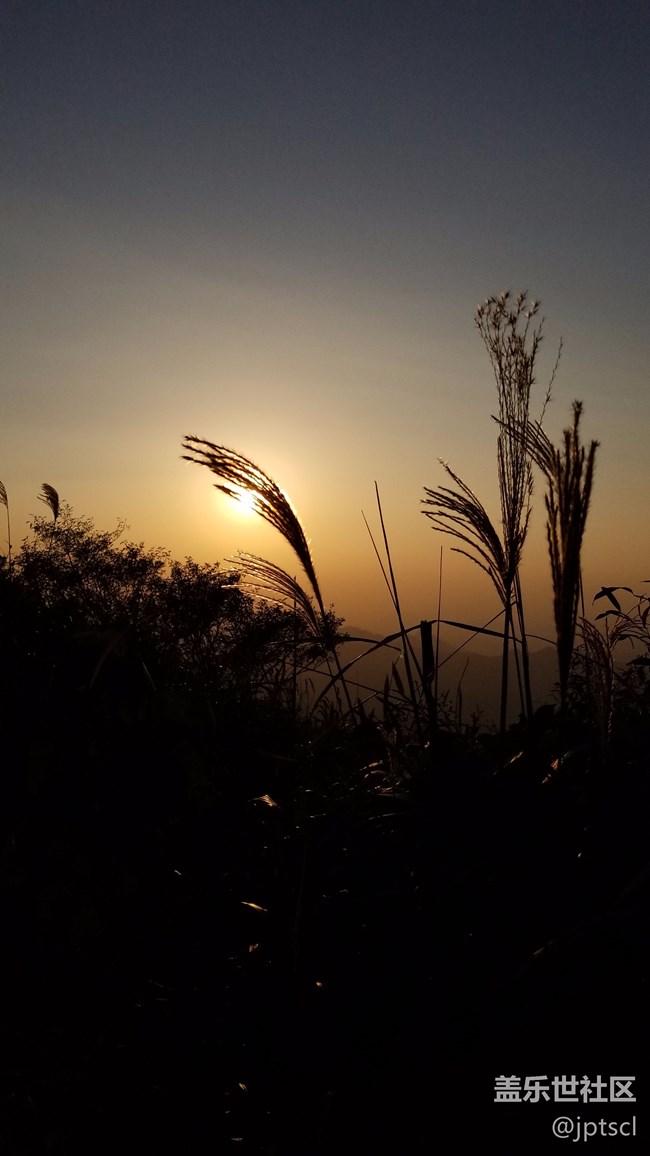 看看note8拍的照片