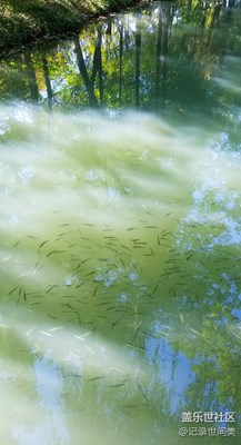 秋氣輕寒可人天。