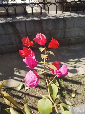 我來說說看法拍照