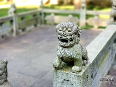 【拍，才知道】note8隨手拍幾張