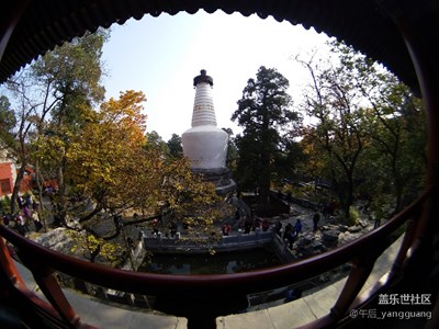 佛塔秋韻