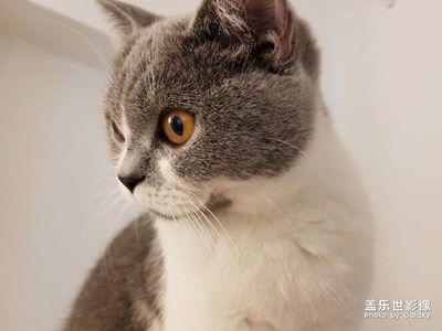 拍才知道+這才是生活