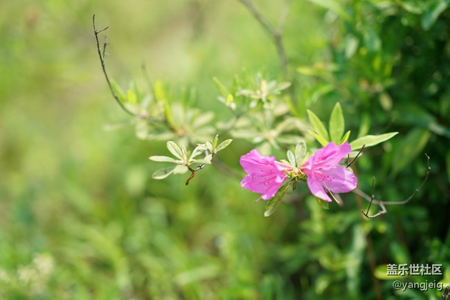 新機(jī)到手啦
