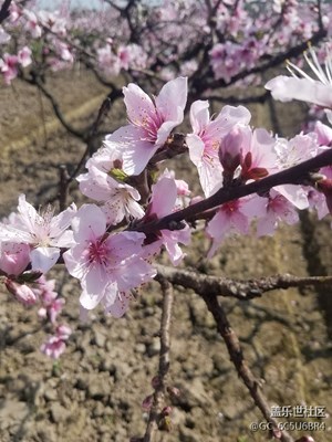 這樣拍可以嗎？