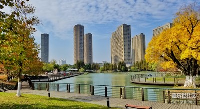 秋去初寒，層林盡染，霜重色愈濃。