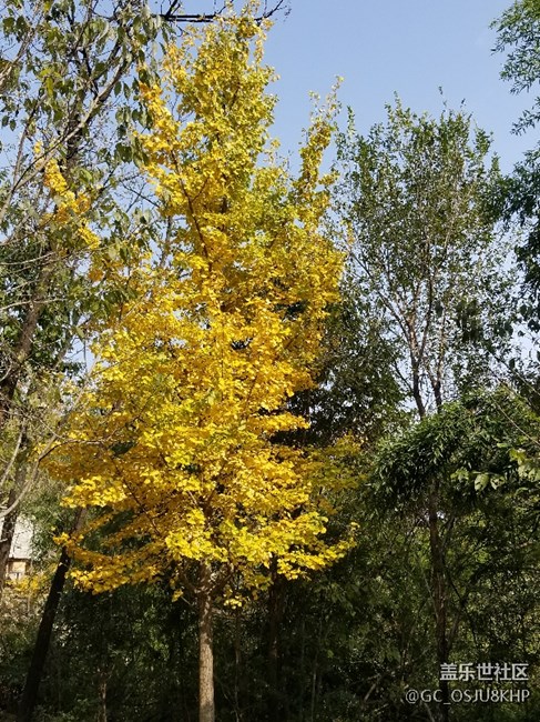 bixby公測哪里報名？