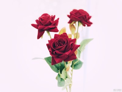 Note8---日常隨拍