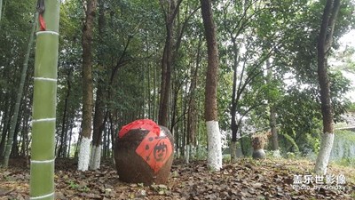 杯中不覺老， 林下更逢春