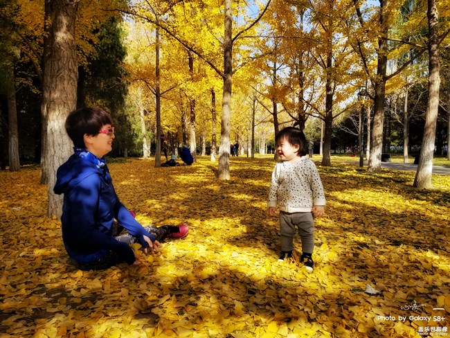 每周精帖匯【第79期：三星Bixby中國發(fā)布會等你來！】