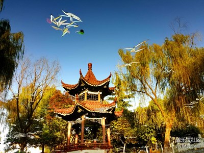 小公園的風(fēng)景