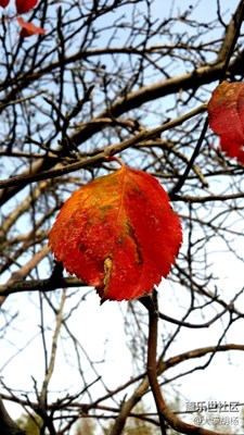 《拾憶》+留住美好瞬間